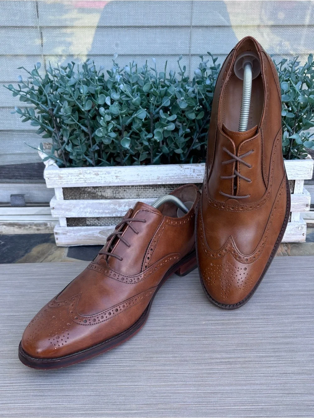 COLE HAAN Cambridge Wingtip Oxfords